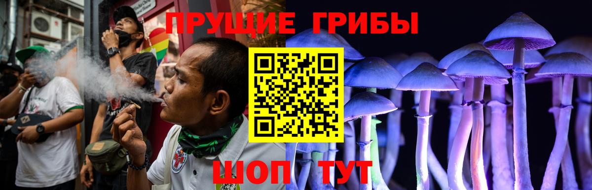 Новоалександровск  Псилоцибиновые грибы мицелий  Вход с VPN 